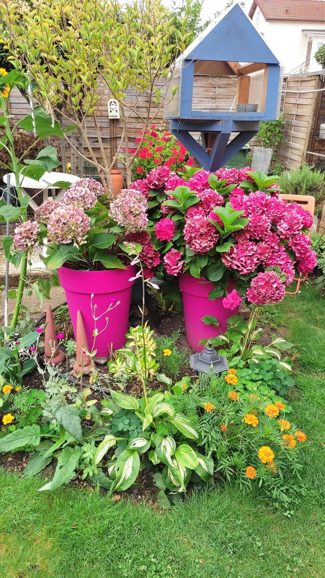 Un Deux Pieces Et Un Jardin A Appartement